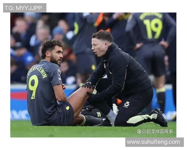 埃弗顿与莱斯特城精彩对决全场录像回放及精彩瞬间解析 埃弗顿与莱斯特城精彩对决全场录像回放及精彩瞬间解析