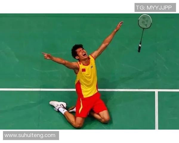 林丹与陶菲克2011年巅峰对决回顾：羽坛传奇的精彩瞬间与激烈较量