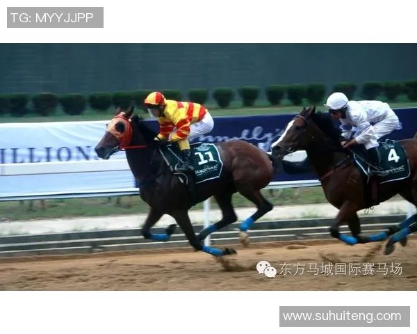 湖人骑士对决回顾2019年1月14日精彩瞬间与赛后分析