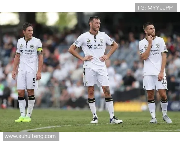 球探惠灵顿对阵悉尼FC精彩对决分析与赛前预测