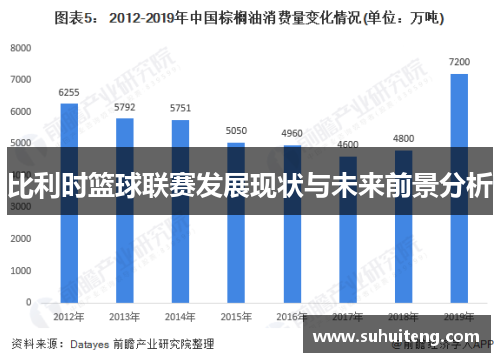 比利时篮球联赛发展现状与未来前景分析