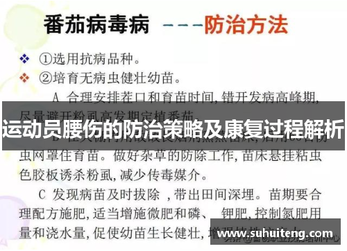 运动员腰伤的防治策略及康复过程解析