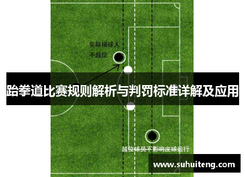 跆拳道比赛规则解析与判罚标准详解及应用